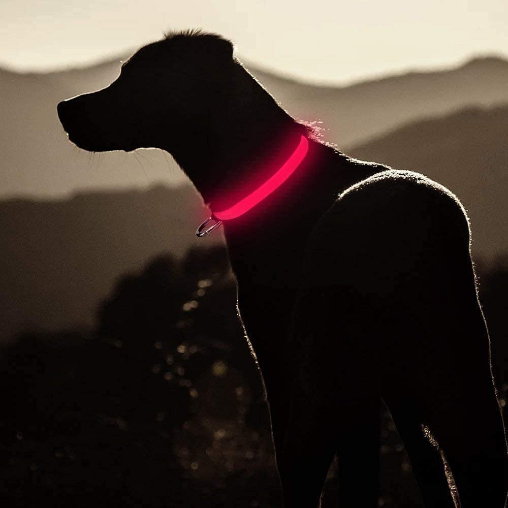 Ruff Life 101 Adjustable LED Light up Dog Collar (Collar, Red)