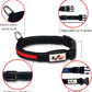 Ruff Life 101 Adjustable LED Light up Dog Collar (Collar, Red)