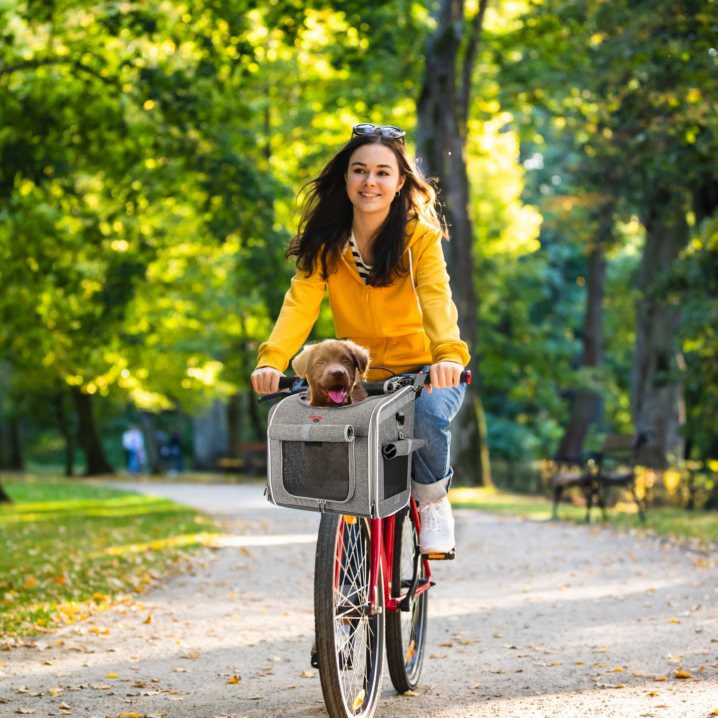 RUFF LIFE 101 Dog Bike Basket, Expandable Soft-Sided Pet Carrier Backpack with 4 Open Doors, 4 Mesh Windows for Medium Dog Cat Puppies - Grey