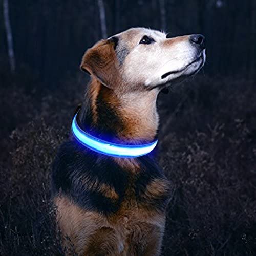 Ruff Life 101 Adjustable LED Light up Dog Collar (Collar, Blue)