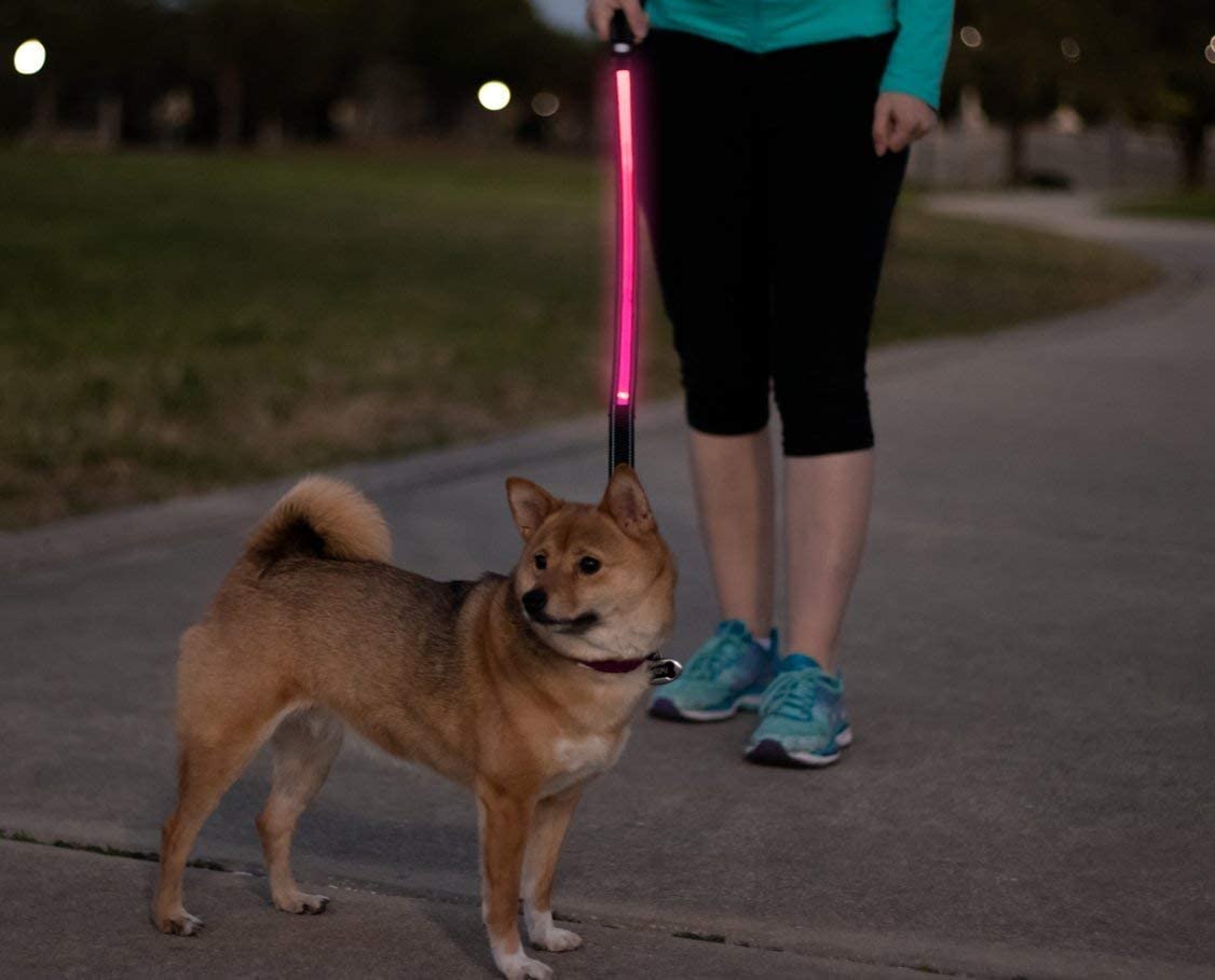 Ruff Life 101 LED Light Up Dog Leash (Leash, Red)