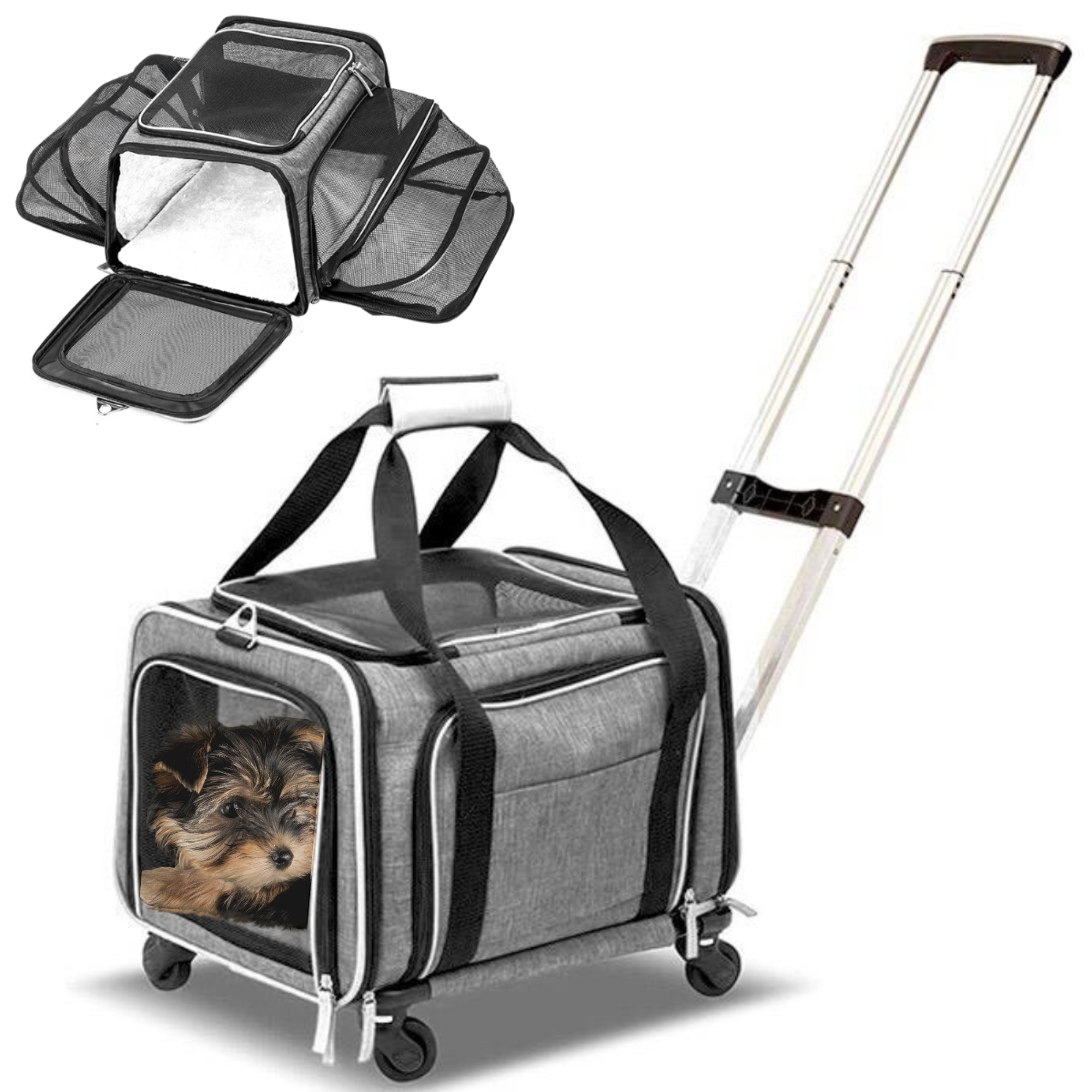 Pet carrier with Web in beige and ebony Supreme | GUCCI® US