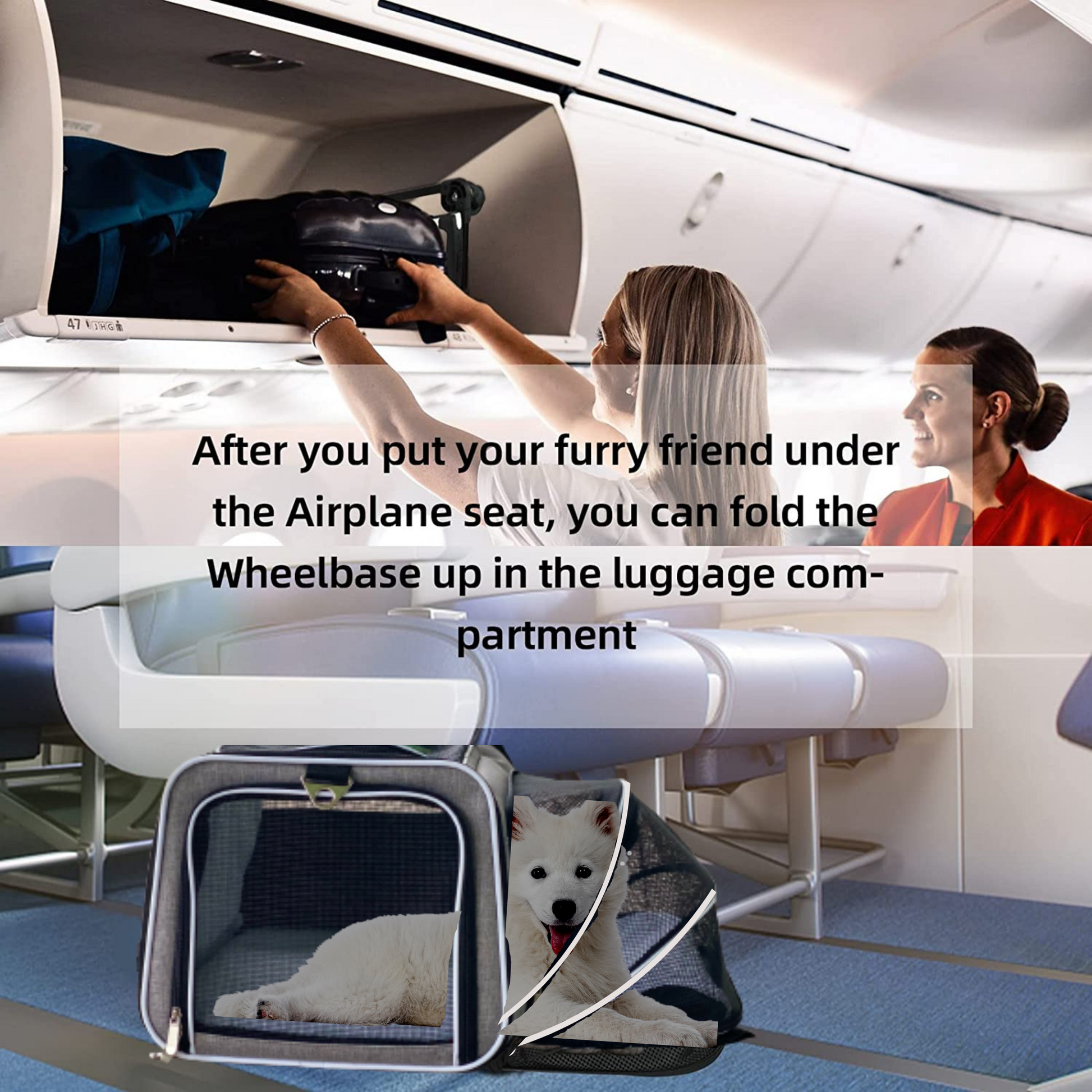 Pets On Airplanes: How To Assemble Your Pet Carrier For Airline Approval  