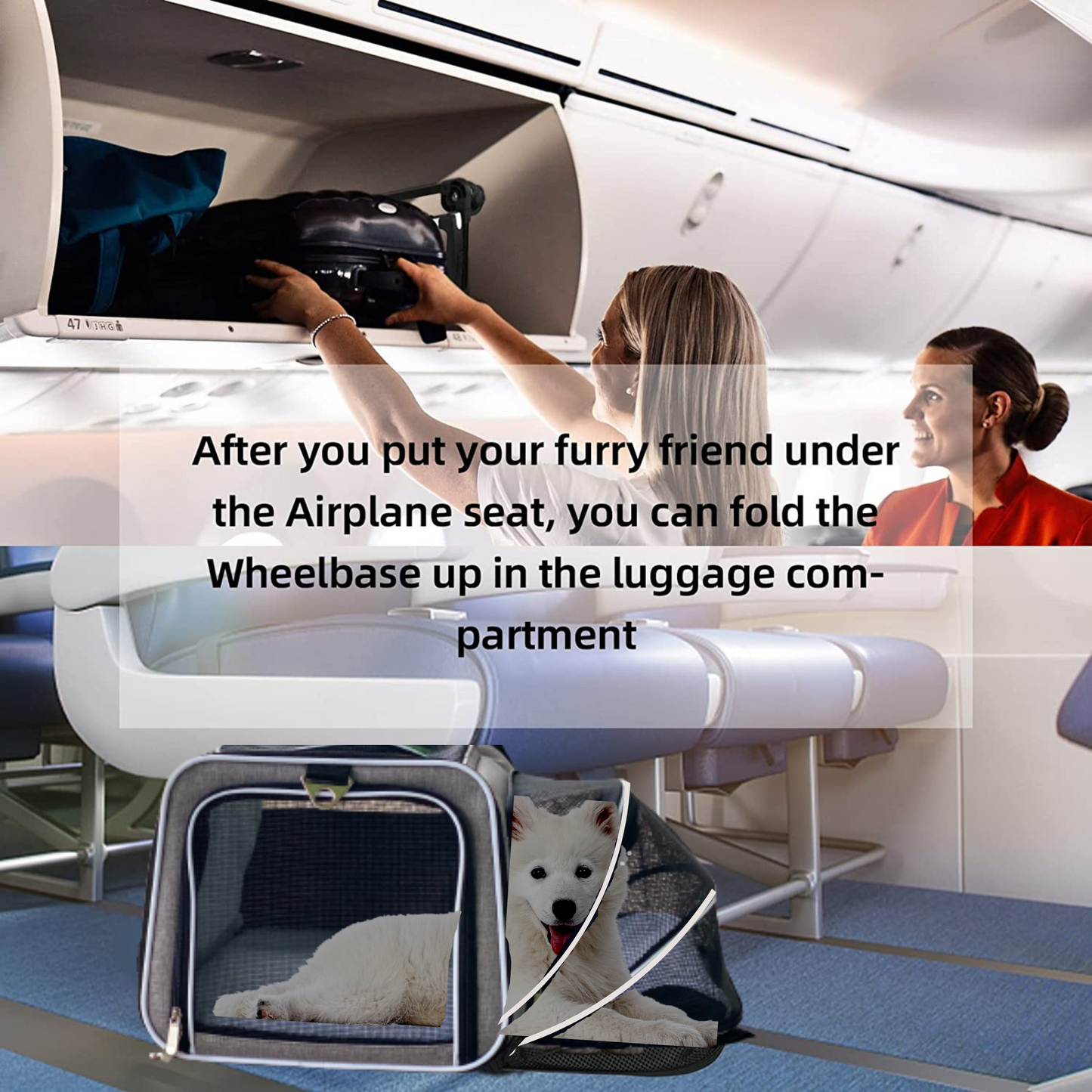 Pet carriers that clearance fit under airplane seat